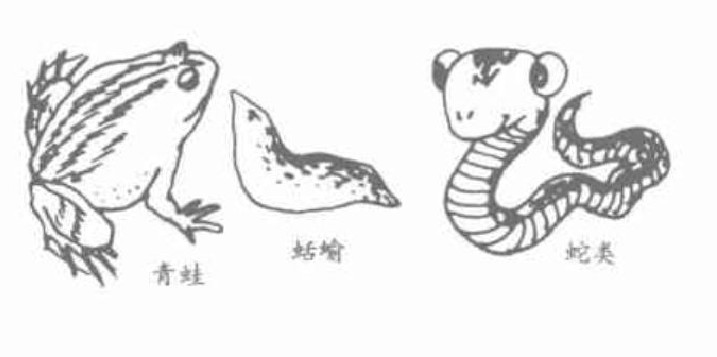 依水而生的动物.jpg