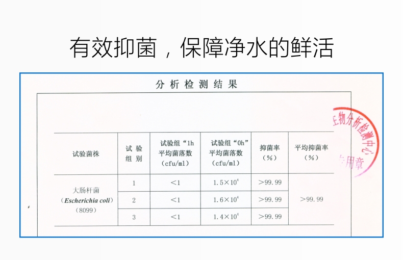 单兵便携式净水器